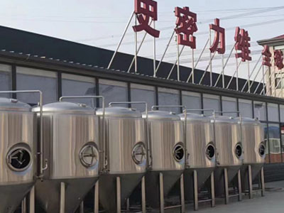 下陆精酿啤酒设备厂—如何判断精酿啤酒设备的密封件需要更换？